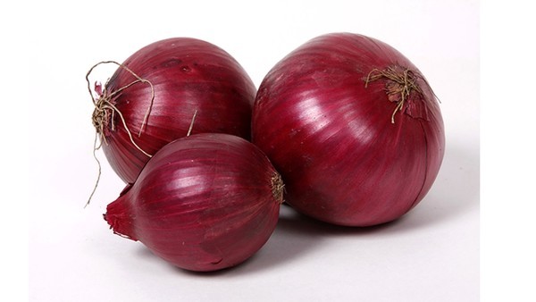 骨关节炎的疼痛症状