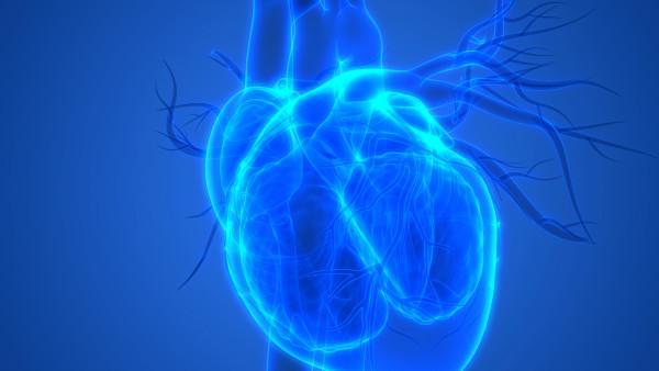 皮肤利什曼病和疟疾的区别