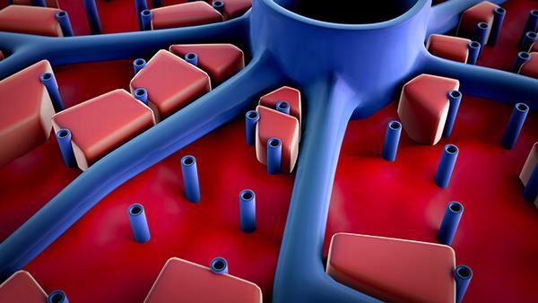 混合性脂质失调的血脂检查