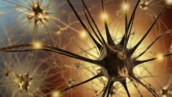 岩藻糖苷贮积症的代谢产物是什么