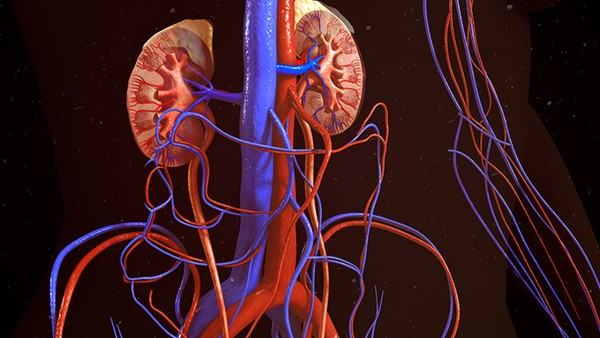 杜氏肌营养不良症的诊断方法