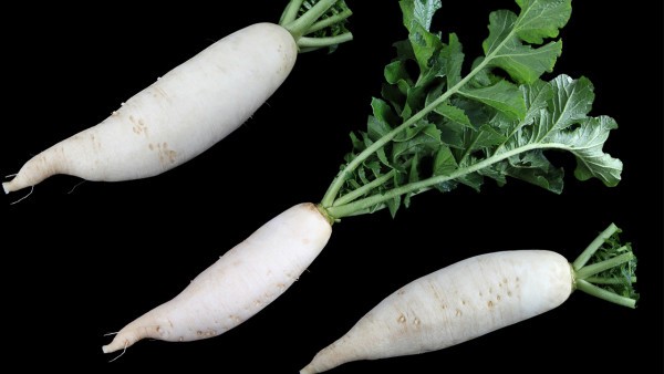 强直性脊柱炎的护理小贴士