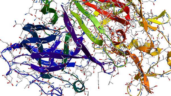 慢性阻塞性肺疾病的心理疏导