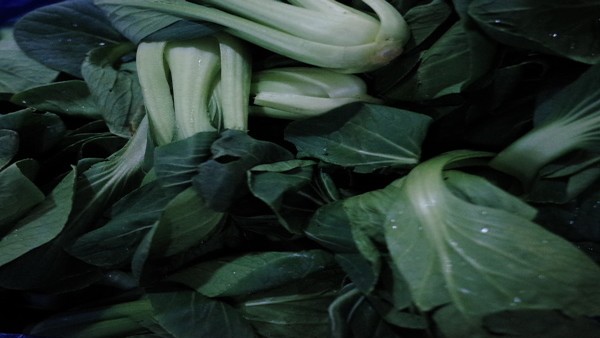 多发性骨髓瘤患者的孕期管理