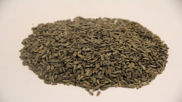 白内障手术后恢复视力的时间