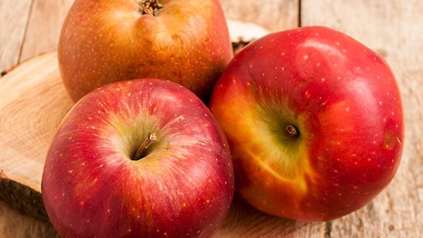 树突状细胞瘤术后如何调养