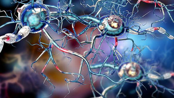 胆管结石的治疗方案