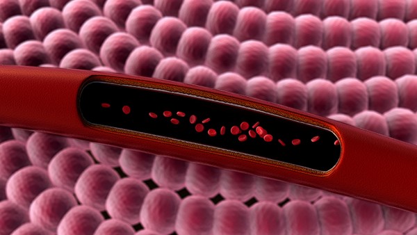 丙肝的抗病毒治疗