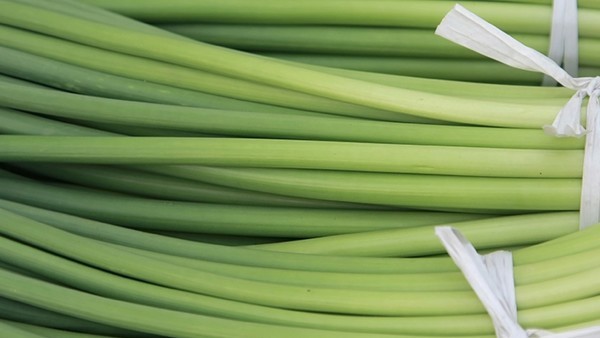 淋球菌性腹膜炎的日常护理注意事项