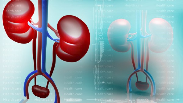 血小板增多症的血栓治疗