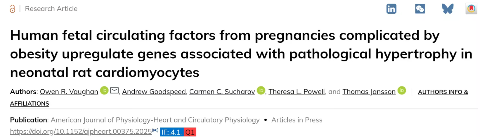 孕期“多吃点”不一定好：研究揭示肥胖孕妈可能影响宝宝心脏发育