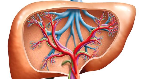 多囊卵巢综合症的减肥治疗