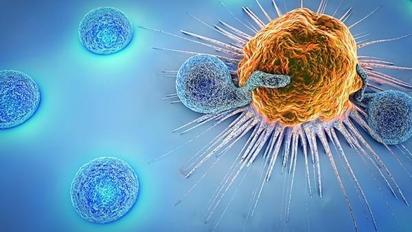 胆囊炎的常见误区