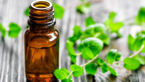 低血压的食物调理偏方