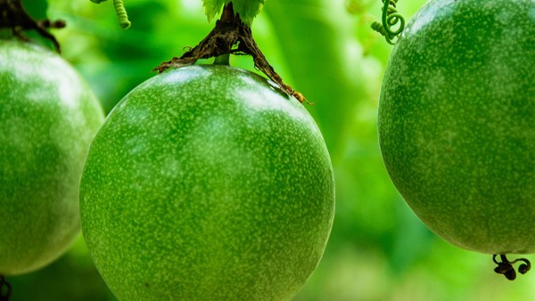 肺动脉高压对患者的情绪影响