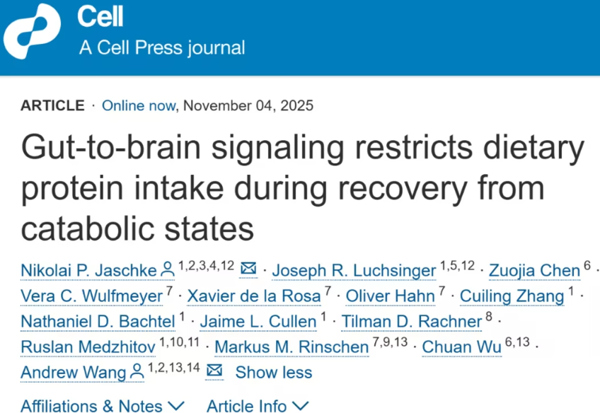 耶鲁大学发现肠道-脑信号调控机制