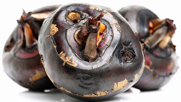 鳞癌的治疗费用