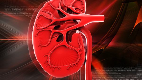 心律失常患者如何减少药物副作用