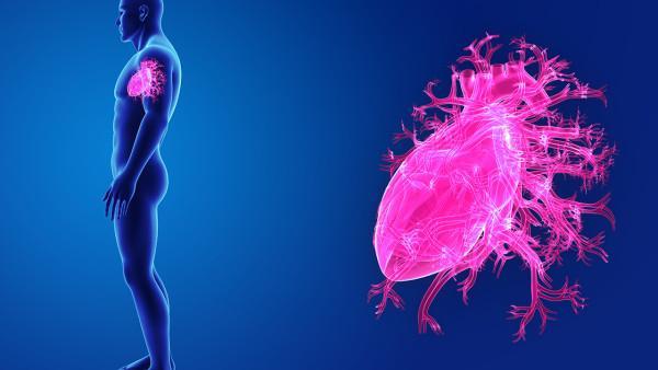 休克后饮食方面的建议