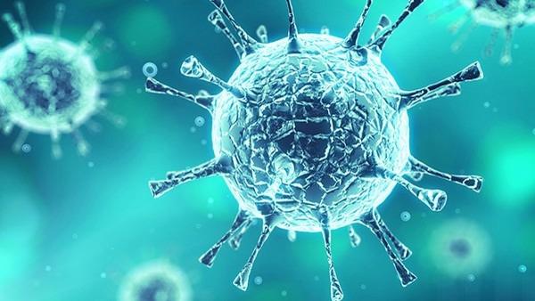 合胞病毒感染是否需要抗生素