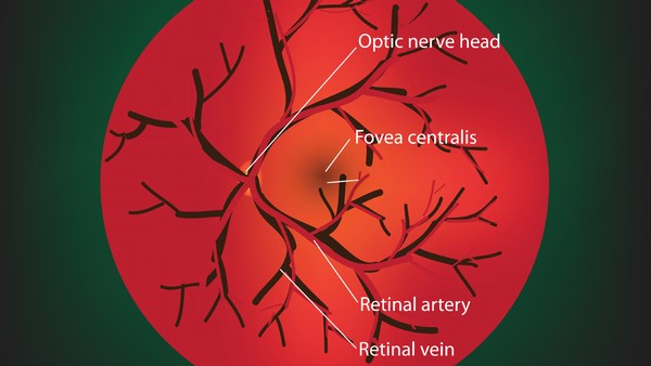乳腺癌的中医治疗方法