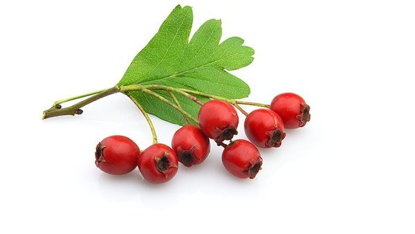 脂肪肝如何避免复发