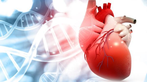 智力障碍对社会适应的影响