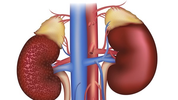 间质性肺病的药物副作用