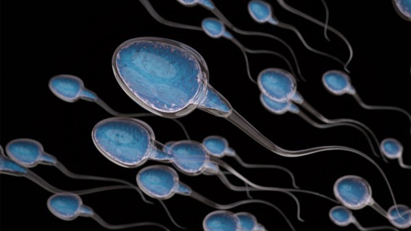 合胞病毒感染与冬季过敏的关系