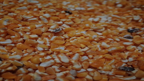 化脓性汗腺炎的治疗效果如何