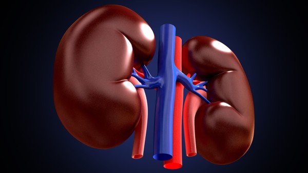 胃肠道间质瘤的活检方法