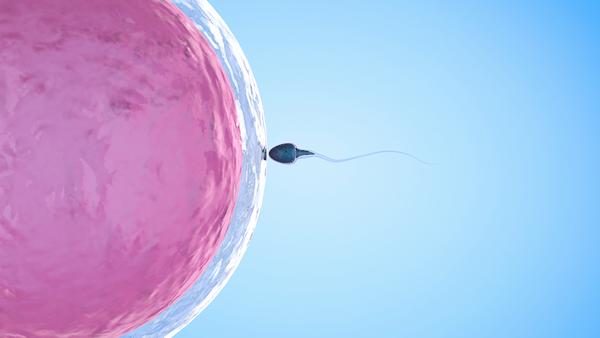 乙肝的疫苗接种