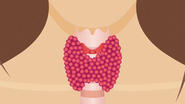 便秘能通过喝蜂蜜水改善吗