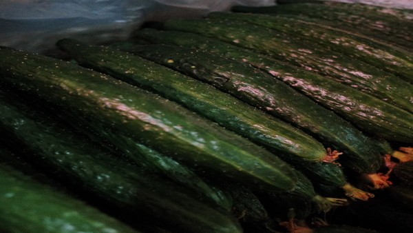 胆结石能通过药物溶解吗