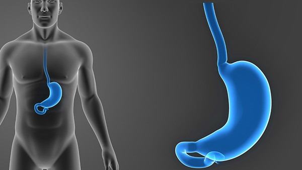 转甲状腺素蛋白淀粉样变性病的临床预防