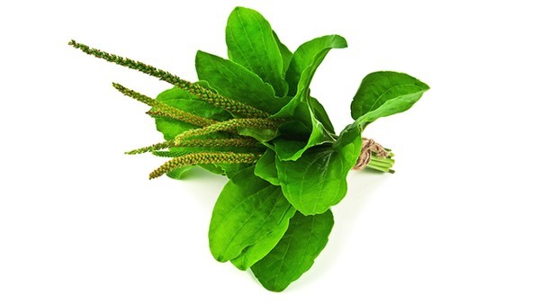 慢性阻塞性肺疾病的复发如何预防