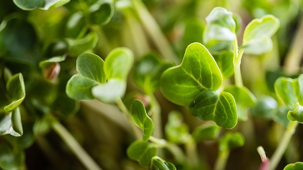 低血糖症和过度运动有关吗？