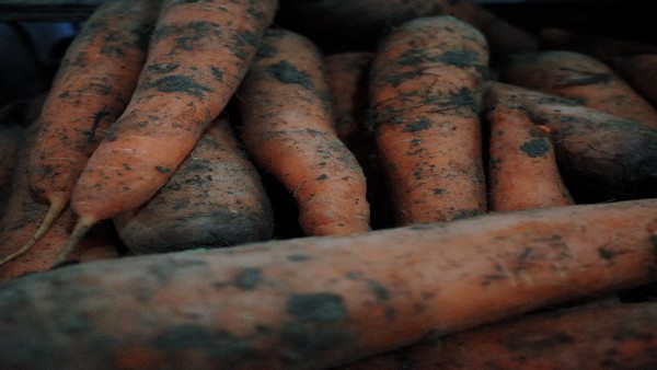 如何预防肝癌？