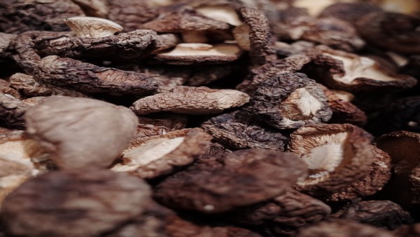 女性雄性化体征与激素不平衡的关系