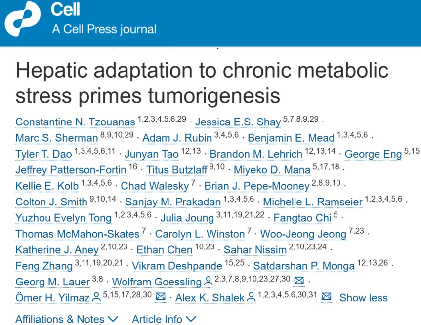 麻省理工团队揭示慢性代谢应激诱发肝癌的新机制