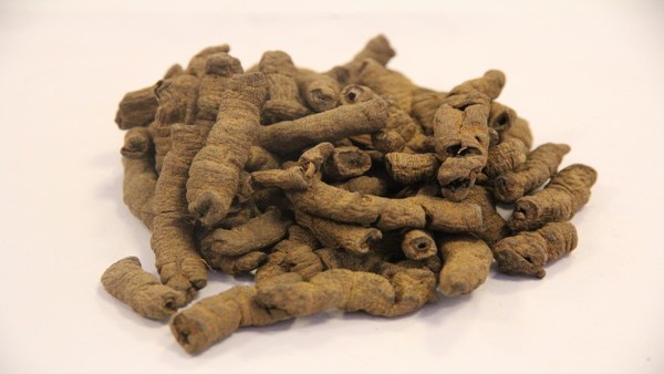 支气管扩张的临床症状