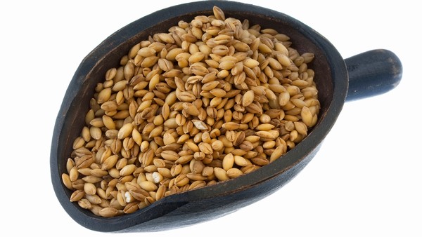 皮肤疖能通过饮食改善吗