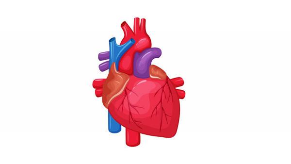 化脓性汗腺炎的常见诱因