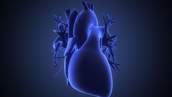 尖锐湿疣患者该如何避免复发