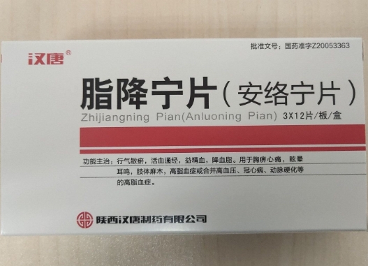 脂降宁片