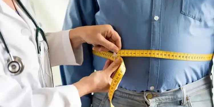 全球首个体重管理AI大模型“减单”正式发布，开启智能健康新时代