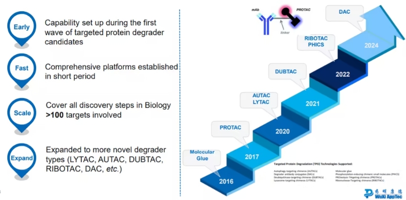 靶向蛋白降解疗法迎来突破，PROTAC为疾病治疗提供新可能
