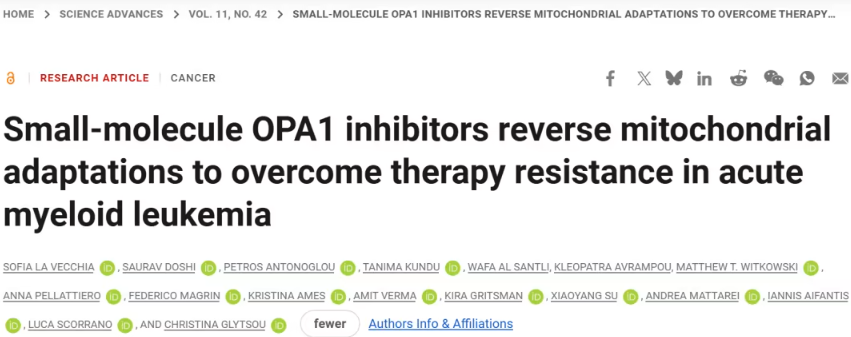 1763347446349433.png 1.png