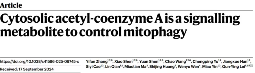 1763348011607731.png 1.png