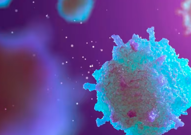 1763349297678949.png 1.png